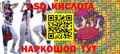 mdma Сланцы