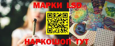 spice Славгород