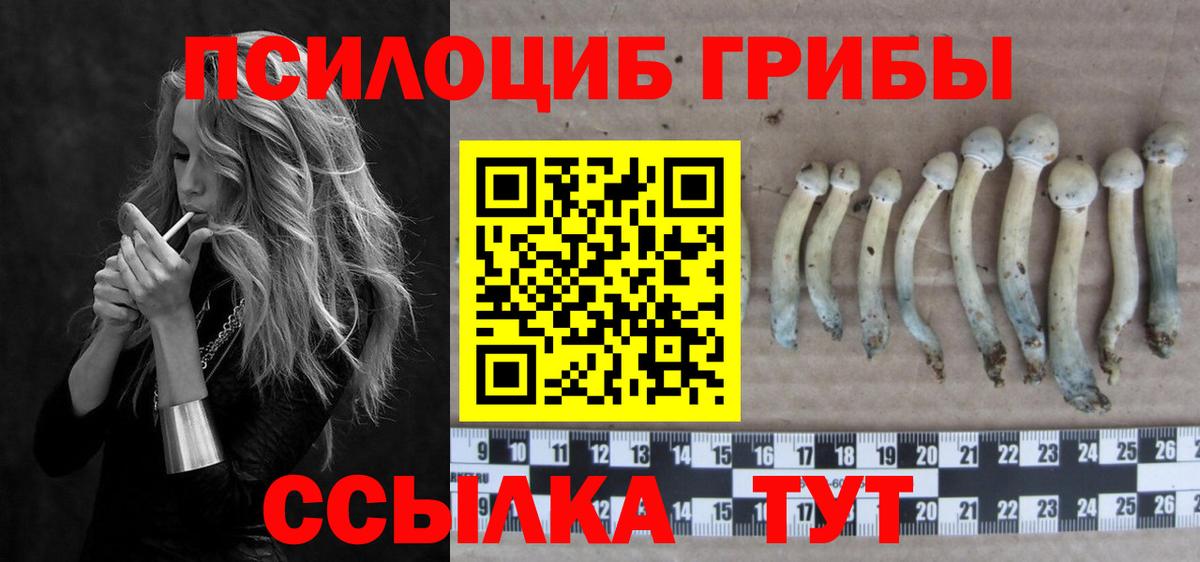 Галлюциногенные грибы мицелий Подольск